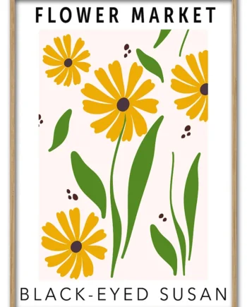 Black - Eyed   Susan   29   7x42   Cm