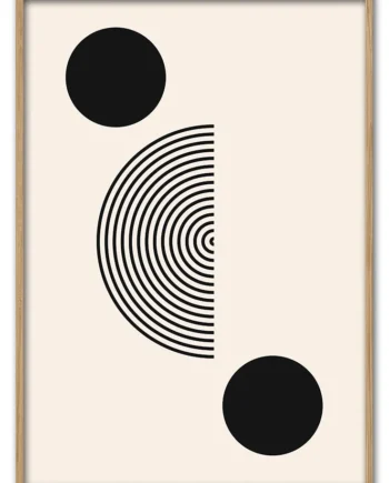 Color   Orbit   No    04   29   7x42   Cm