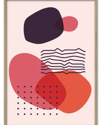 Coral   Collision   No    02   29   7x42   Cm