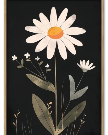 Daisy   On   Black   50x70   Cm