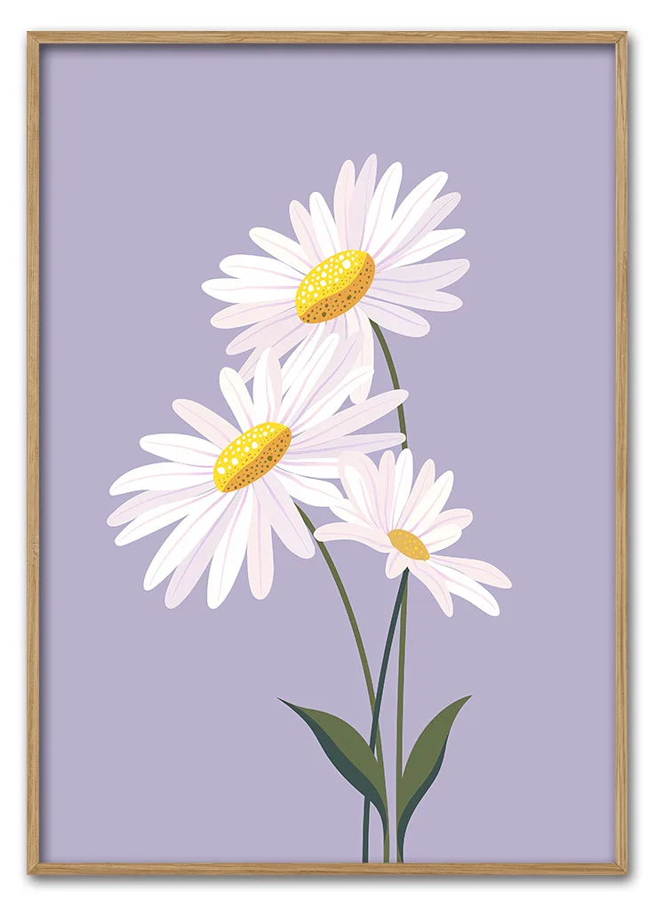 Daisy On Lilac 29 7x42 Cm