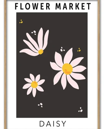 Daisy   Trio   29   7x42   Cm