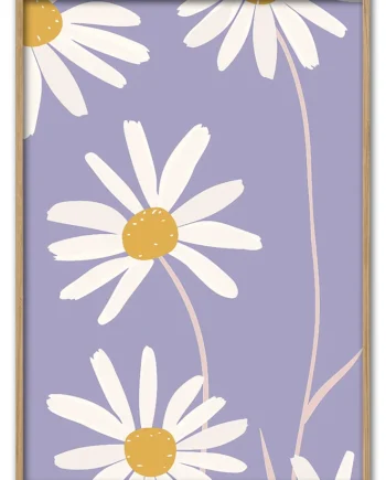 Daisy   Up   Close   29   7x42   Cm