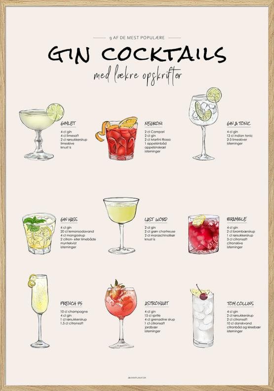 Drinks Med Gin   Gin Cocktails Med Opskrifter Til Baren