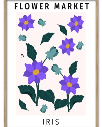 Iris   29   7x42   Cm