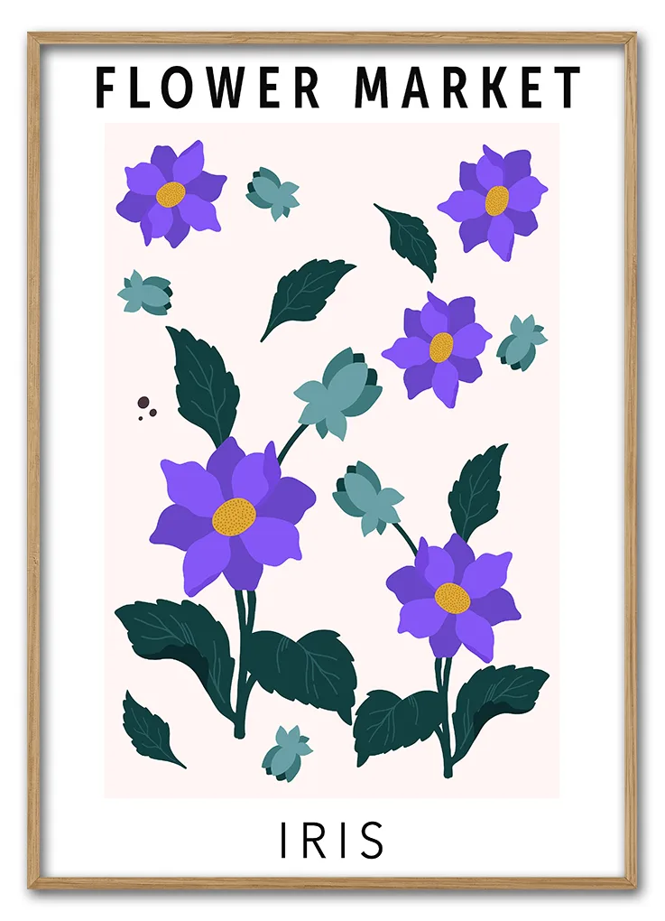 Iris 29 7x42 Cm