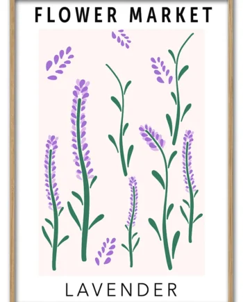 Lavender   29   7x42   Cm