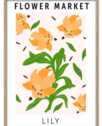 Lily   29   7x42   Cm