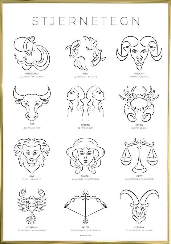 Line Art Stjernetegn Plakat 12 Line Art Stjernetegninger