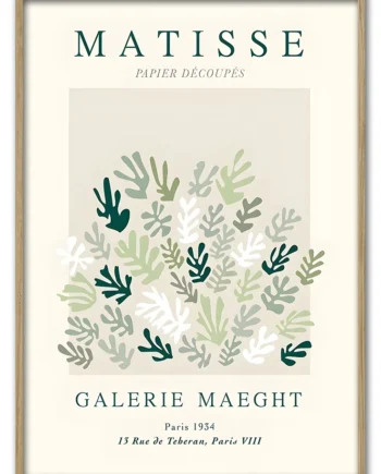 Matisse   Botanical   Form   No    02   42x59       Cm
