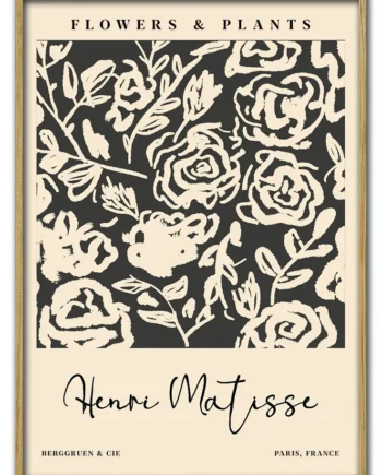 Matisse   Flowers     Plants   No    01   29   7x42   Cm