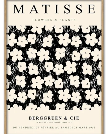 Matisse   Flowers     Plants   No    03   42x59       Cm
