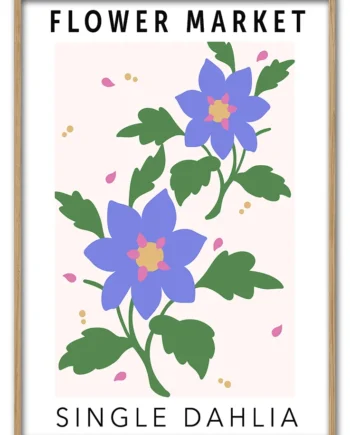 Single   Dahlia   29   7x42   Cm
