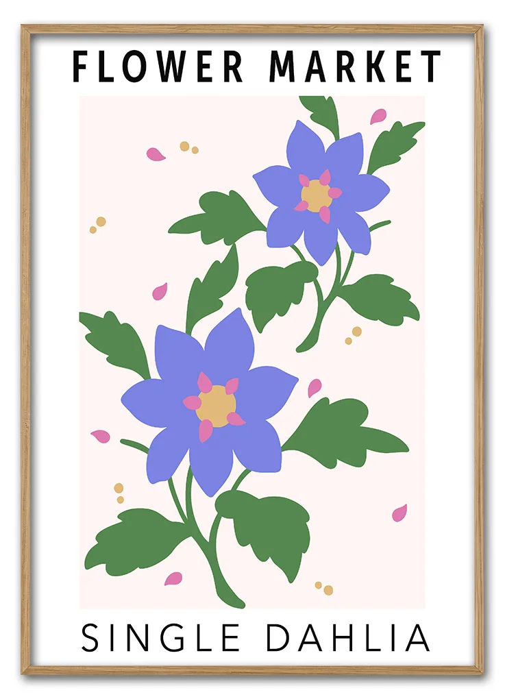 Single Dahlia 29 7x42 Cm