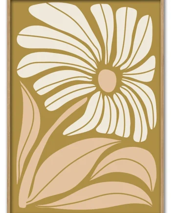 Soft   Petal   Study   42x59       Cm
