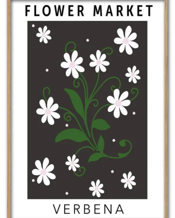 Verbena   29   7x42   Cm