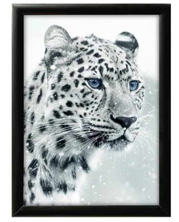 Alu   Klapramme    Sort    25   Mm   Profil    70   X   100   Cm