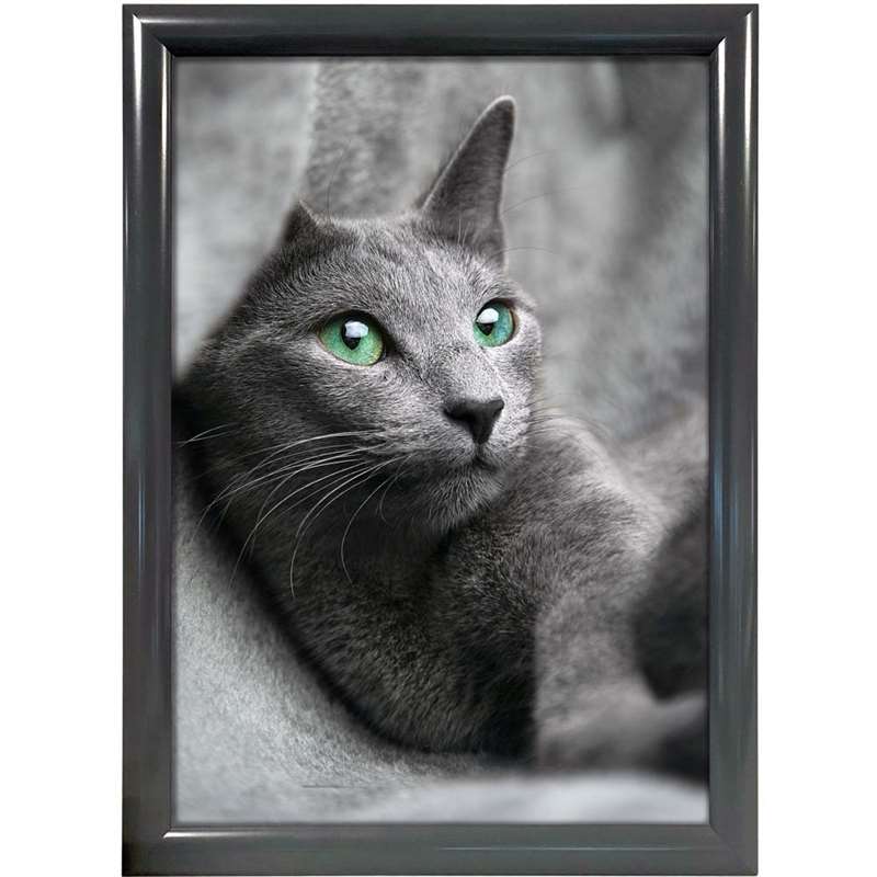 Alu Snap Frame Antracitgrå 25 Mm Profil A2