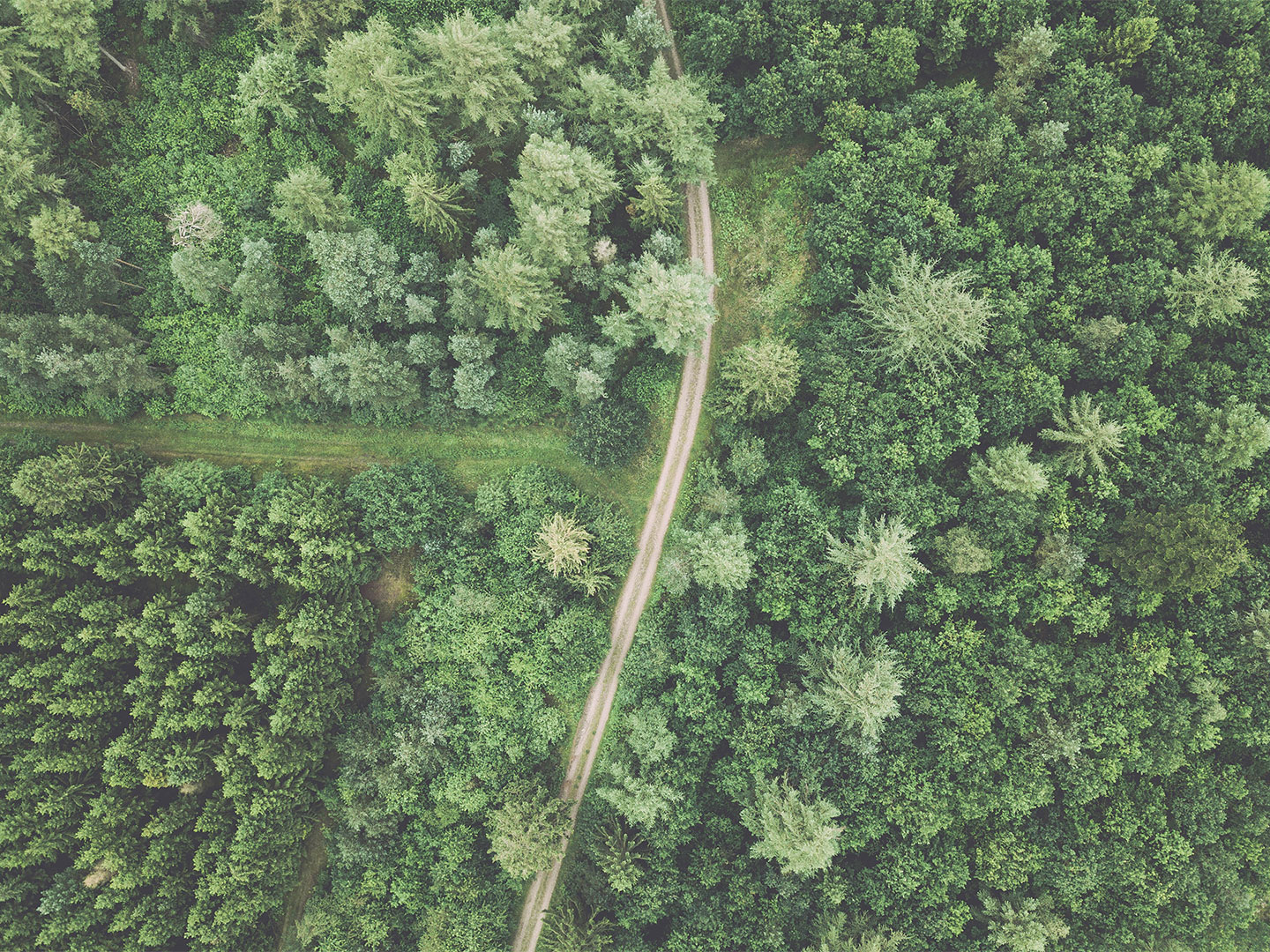 A   View   From   Above   Af   Henrik   Hansen