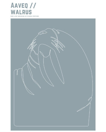 Aaveq   Walrus   Af   Pluma   Posters
