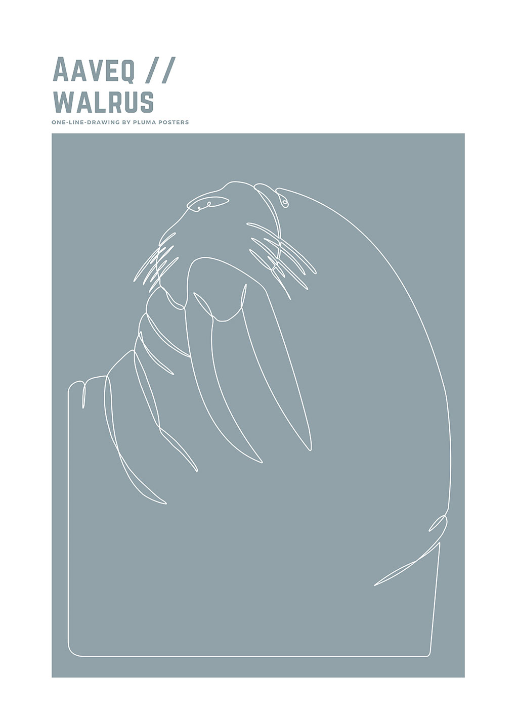 Aaveq   Walrus   Af   Pluma   Posters