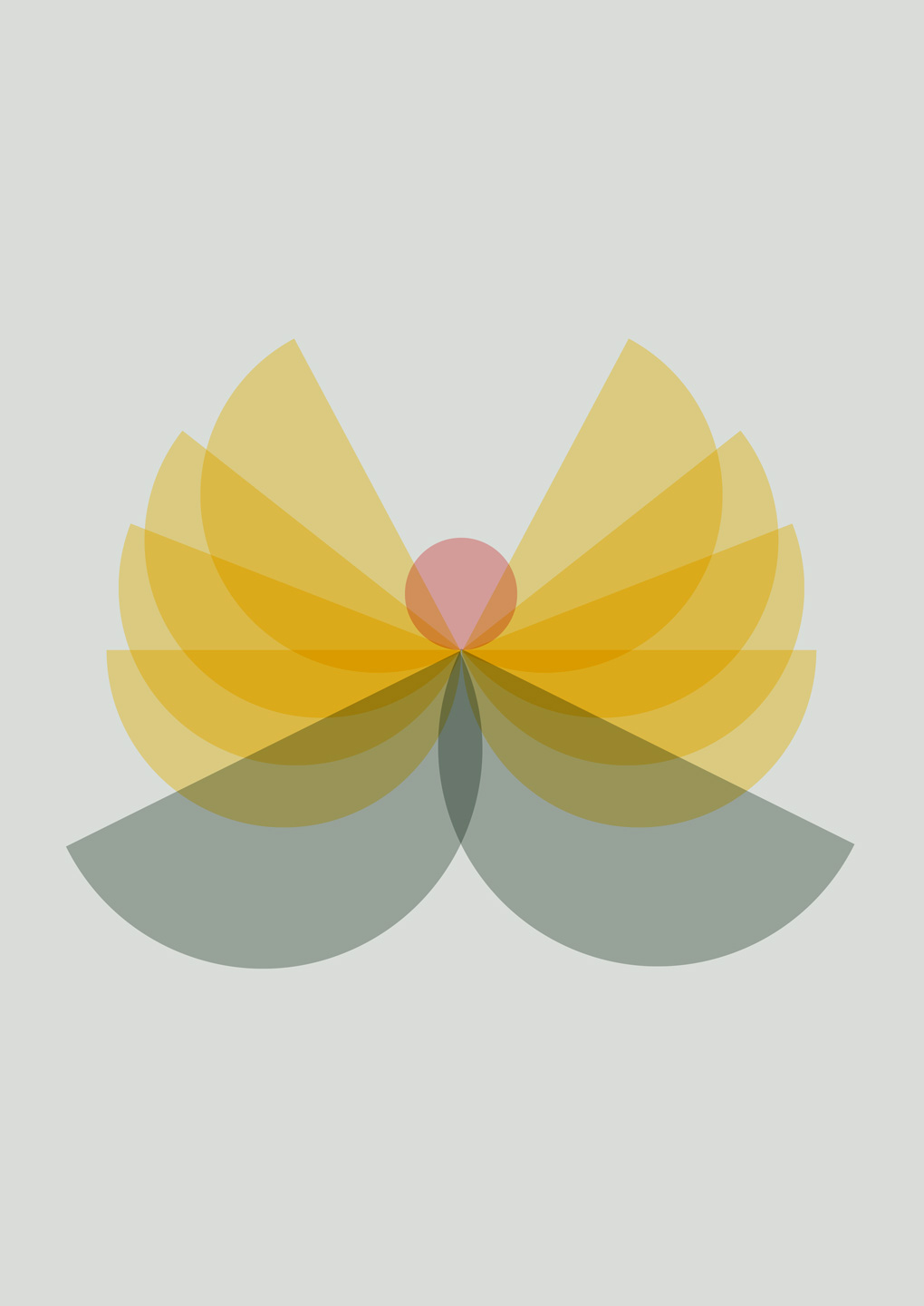 Angel   Af   Myro   Graphics
