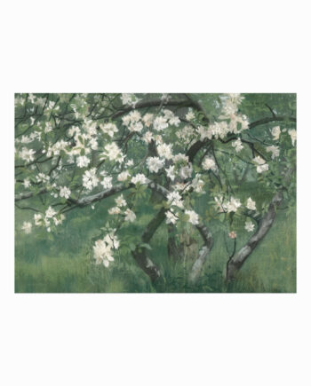 Antik   Plakat    Apple   Tree   In   Blossom