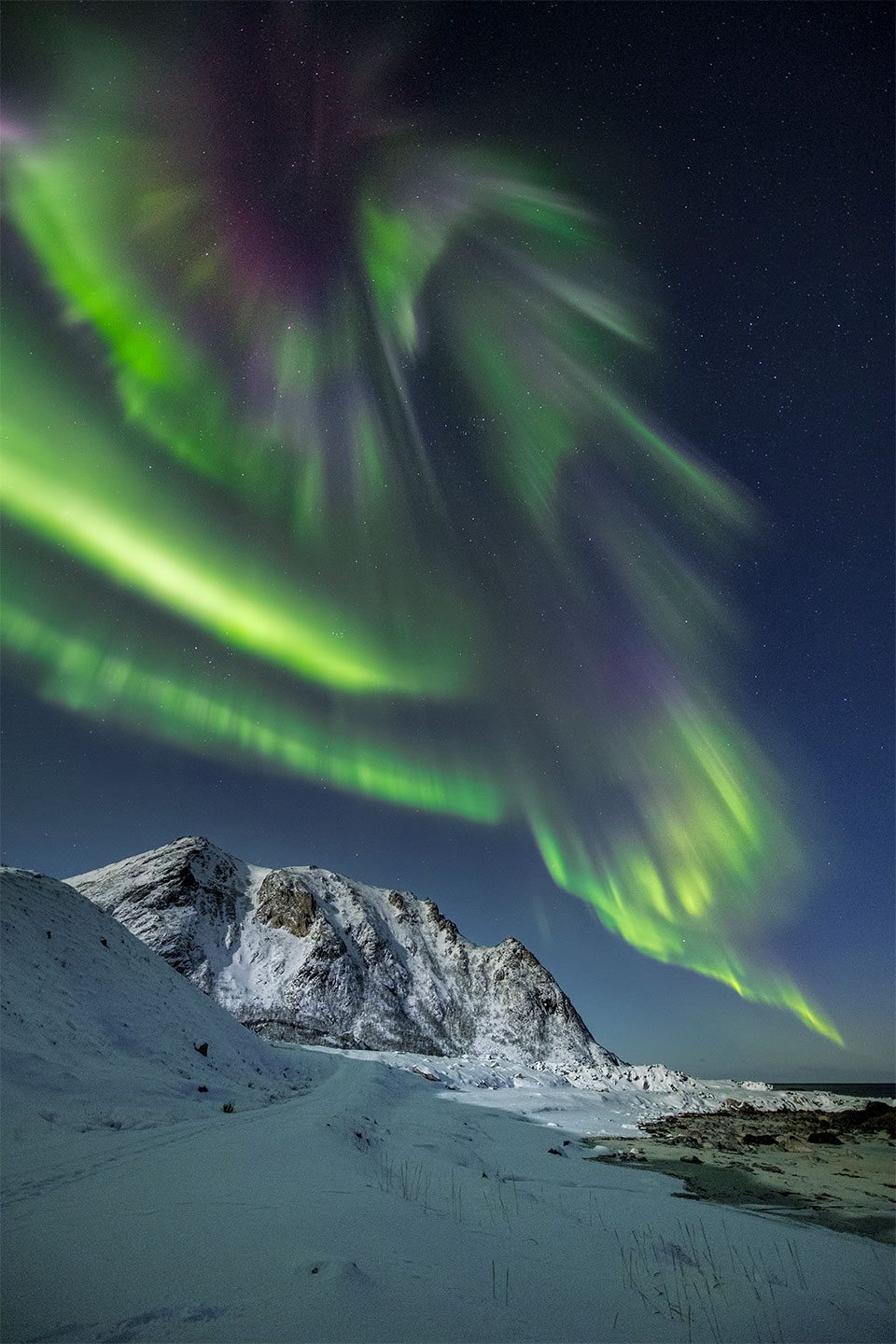 Auroras   Gone   Crazy   Af   Frank   Olsen