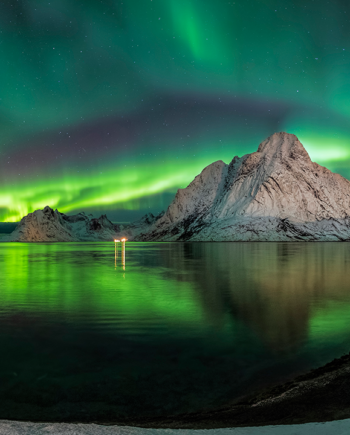 Auroras   In   Reine    Lofoten   Af   Frank   Olsen
