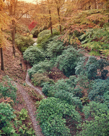 Autumn   Af   Gustavo   Orensztajn