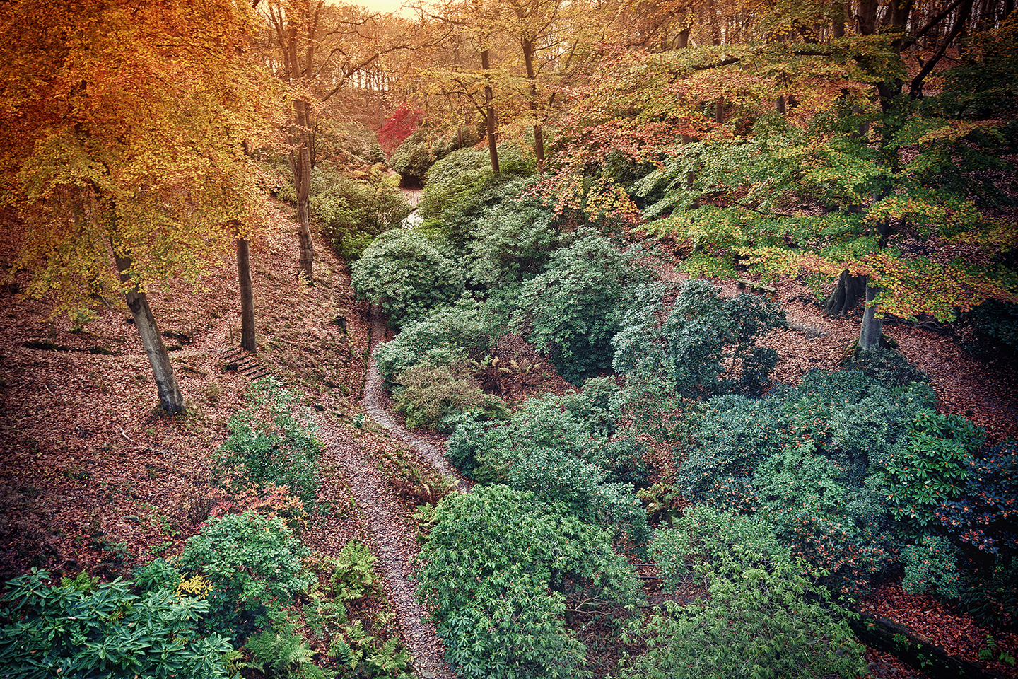 Autumn   Af   Gustavo   Orensztajn