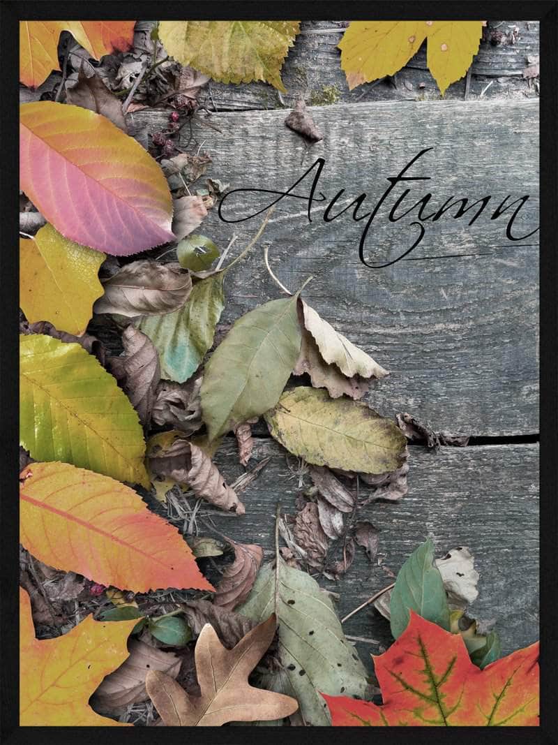 Autumn   Efterårs   Plakat