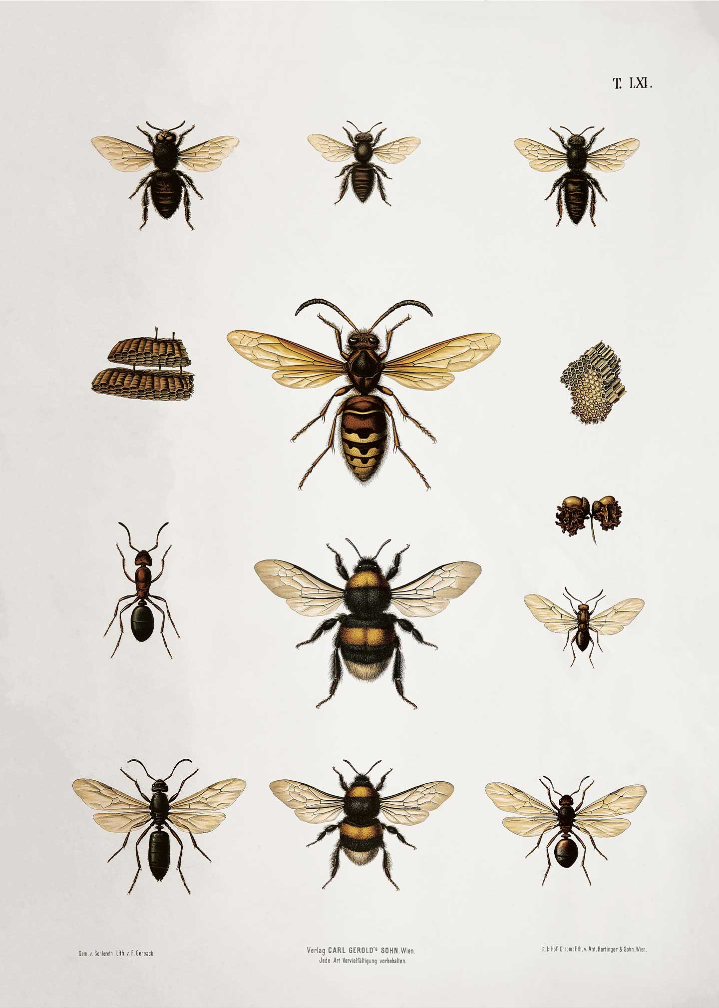 Bees   Af   Vintage   Vista   Designs