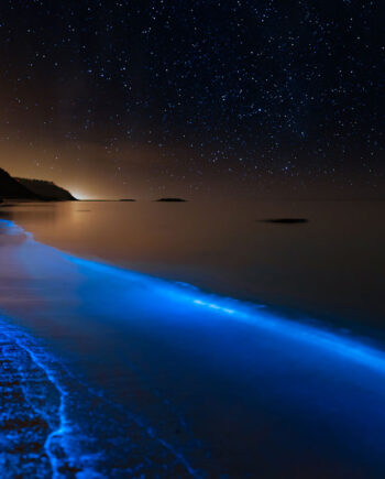 Bioluminescence   At   The   Danish   Coastline   Af   Daniel   Faisst