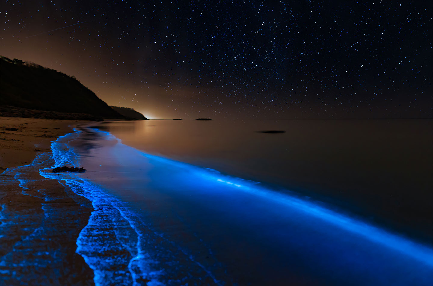 Bioluminescence   At   The   Danish   Coastline   Af   Daniel   Faisst