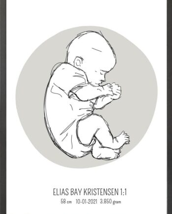 Birth Poster   Fødselsplakat  :  Fosterstilling Blå