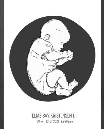 Birth Poster   Fødselsplakat  :  Fosterstilling Blå
