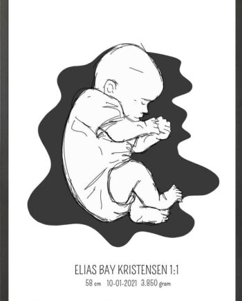 Birth Poster   Fødselsplakat  :  Fosterstilling Blå