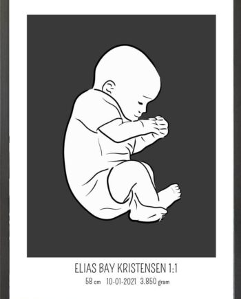 Birth Poster   Fødselsplakat  :  Fosterstilling Blå