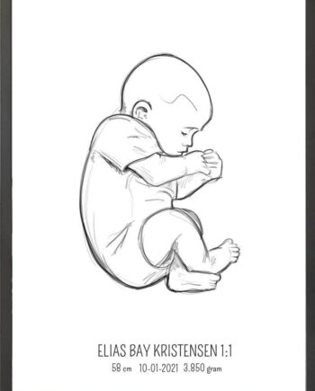 Birth Poster   Fødselsplakat  :  Fosterstilling Blå
