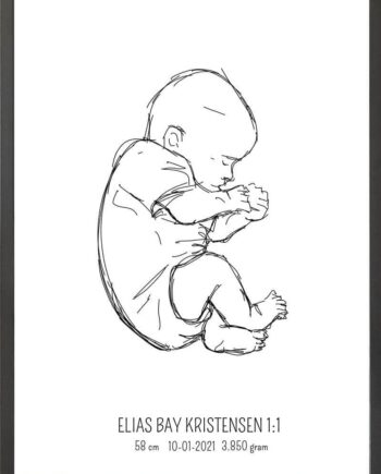 Birth Poster   Fødselsplakat  :  Fosterstilling Blå