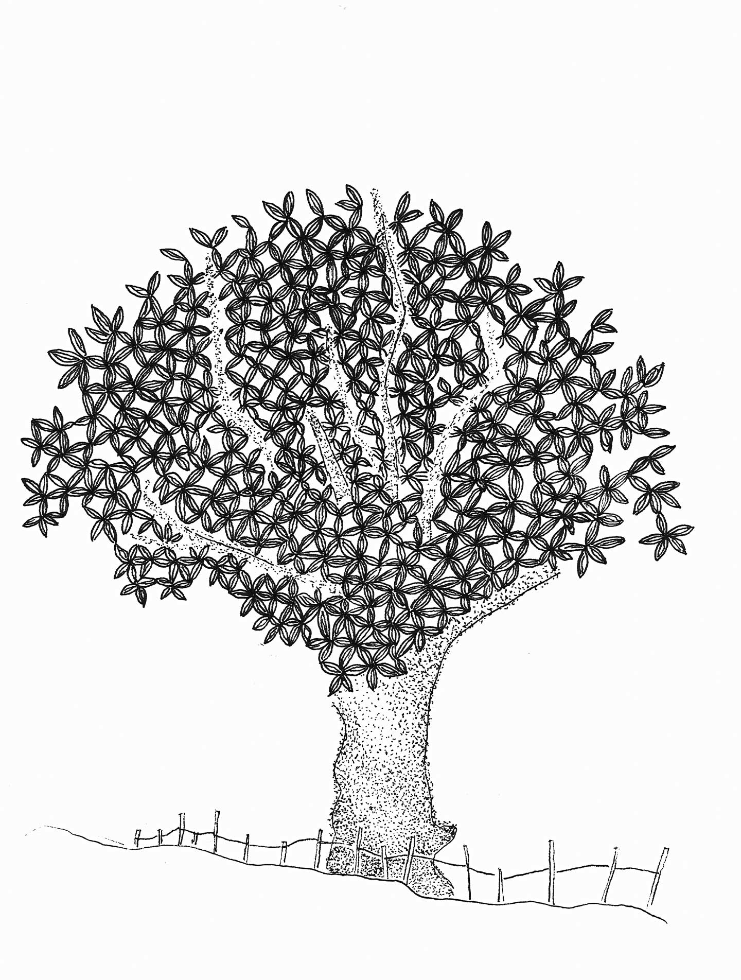 Bladettræ   Af   Cilia   Sindt