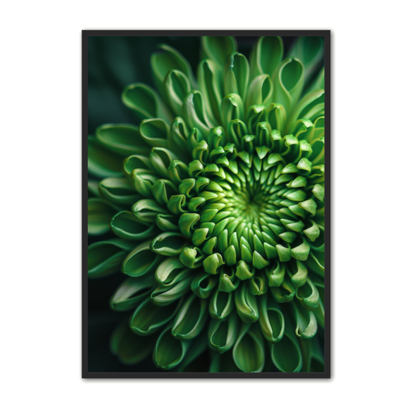 Blomster   Plakat   161