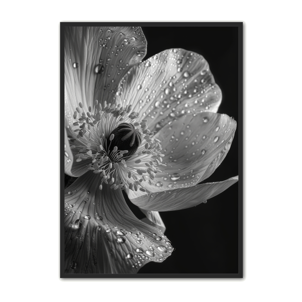 Blomster   Plakat   11   Naturplakater