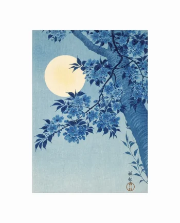 Blossoming   Cherry   On   A   Moonlit   Night