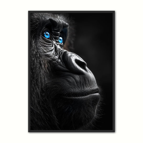 Blue   Eyes   20   Gorilla