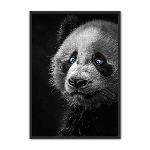 Blue   Eyes   18   Panda