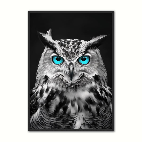 Blue   Eyes       Ugle