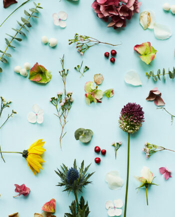 Blue   Flower   Af   Camilla   Schmidt