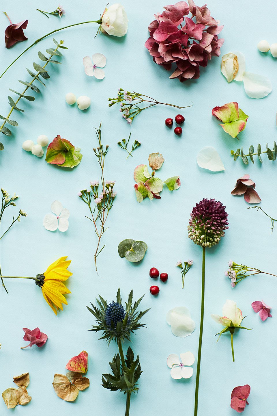 Blue   Flower   Af   Camilla   Schmidt